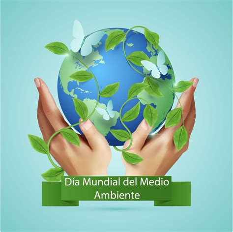 Cu L Es La Importancia Del D A Mundial Del Medio Ambiente La Verdad