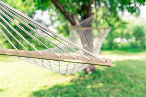 White Hammock Among The Trees Stock Image Image Of Weekend Relax