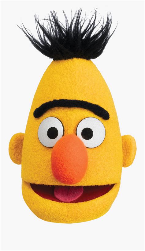 Bert Head Bert From Sesame Street Free Transparent Clipart Clipartkey