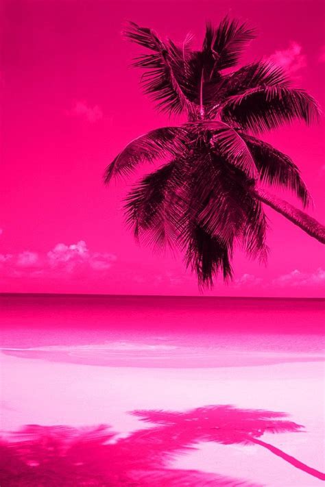 Pink Palm Trees Tree Wallpaper Iphone Beach Wallpaper Summer