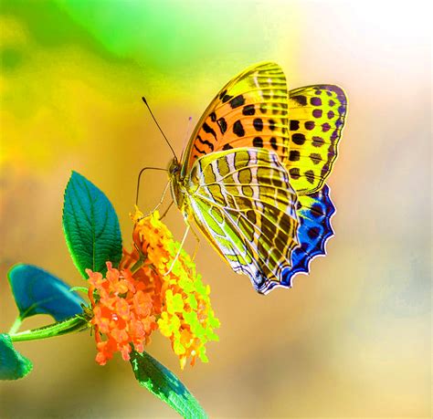 Wallpapers for whatsapp dp images download. Best New Latest Whatsapp Dp Images Wallpaper Pics Free ...
