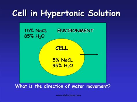 An isotonic solution refers to two solutions having the same osmotic pressure across a semipermeable membrane. Cytolysis & Plasmolysis