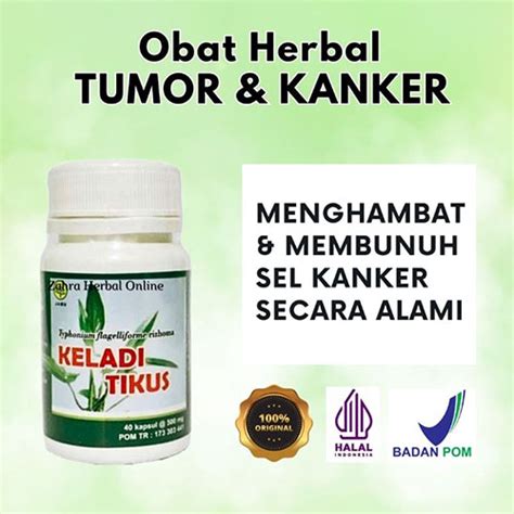 Kapsul Keladi Tikus Anugrah Herbal