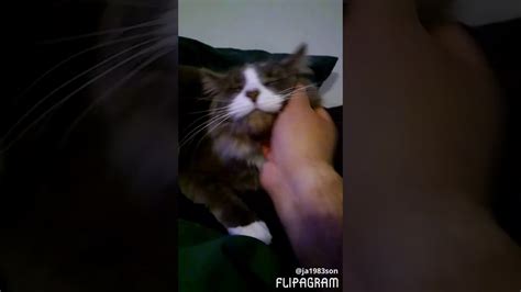 A Sensual Video Of Me Rubbing My Pussy Youtube