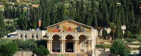 The Gardens Of Gethsemane ⋆ Holy Land Vip Tours