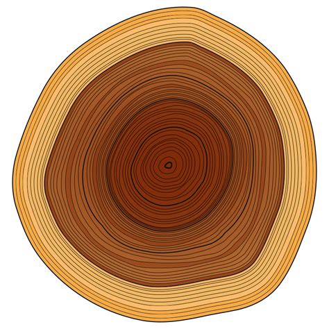 Wood Log Vector At Getdrawings Free Download