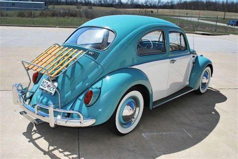 Pin By Alta Rautenbach On Volkswagen Volkswagen Beetle Volkswagen