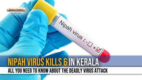 Nipah virus symptoms, prevention and cure — all your questions answered. Nipah virus kills ten in Kerala: All you need to know ...