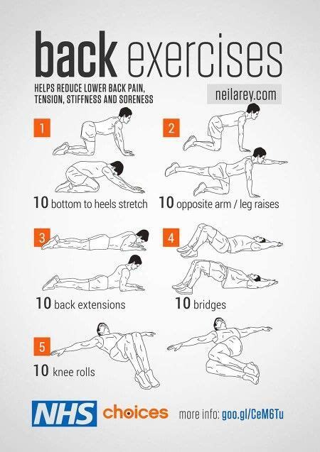 Back Exercises For Men Without Weights Exercise Poster