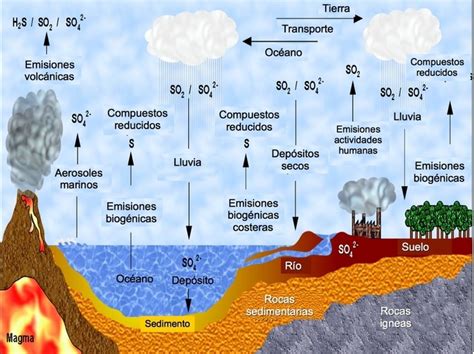 ¿qué Son Los Ciclos Biogeoquímicos Toda Materia