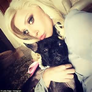 Lady Gaga Cuddles With Dog Asia After Being Dissed By