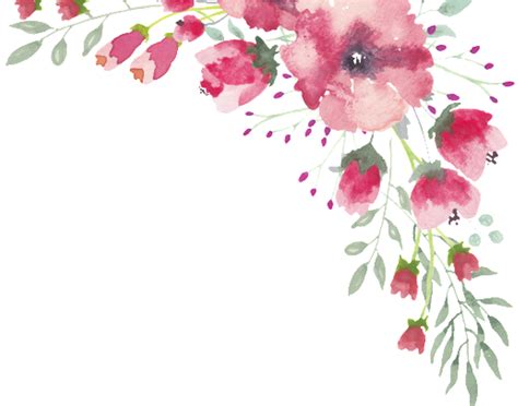 Download Png Watercolor Flower Lace Border 1 Free Download