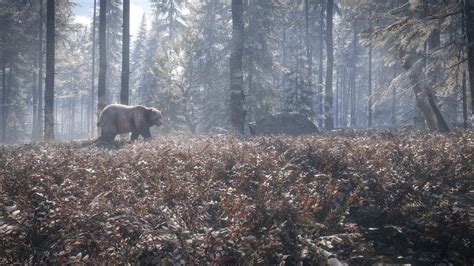 The Hunter Call Of The Wild Wallpapers High Quality | Download Free