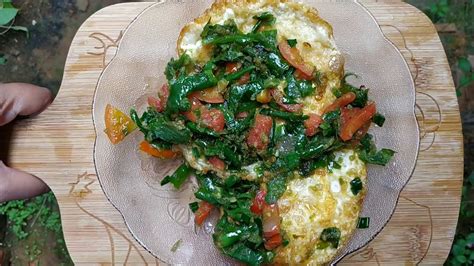 We did not find results for: Panen Cabai di Halaman Rumah | Sambal Telor Cabai Hijau ...