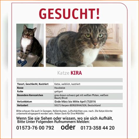 Atemberaubend Vermisstenanzeige Katze Vorlage Erstaunlich Vermisst My