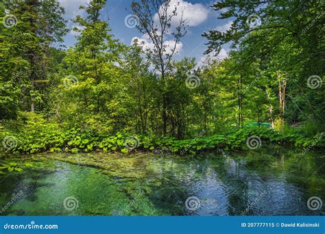 Clean Turquoise Lake Surrounded By Lush Green Plants And Forest In