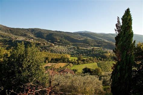 Asu vanhassa luostarissa ja viljele viinirypäleitä sekä oliiveja Toscanassa! - Toscana - ITALIA ...