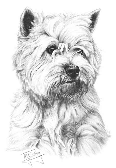 Dog Black And White Drawing At Explore Collection