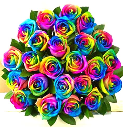 Collection 99 Pictures Real Pretty Real Rainbow Flowers Sharp