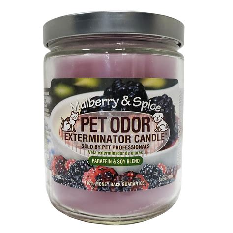 Free shipping on orders over $25 shipped by amazon. Pet Odor Eliminator Mulberry and Spice Candle