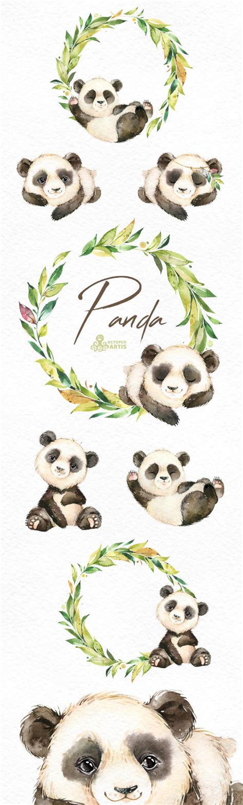 Panda Watercolor Little Animal Clipart Floral Wreath Etsy