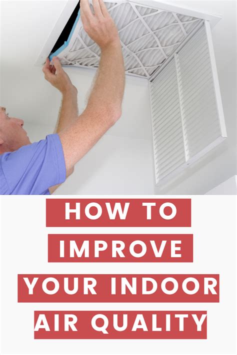 Simple Ways To Improve Your Homes Indoor Air Quality In 2020 Indoor