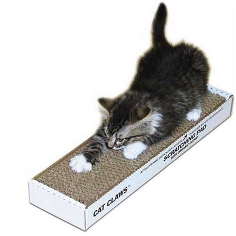 1,891 anti scratch pad products are offered for sale by suppliers on alibaba.com, of which pet beds & accessories accounts for 3%, interactive toys accounts. Walmart Cat Scratcher - Cat and Dog Lovers