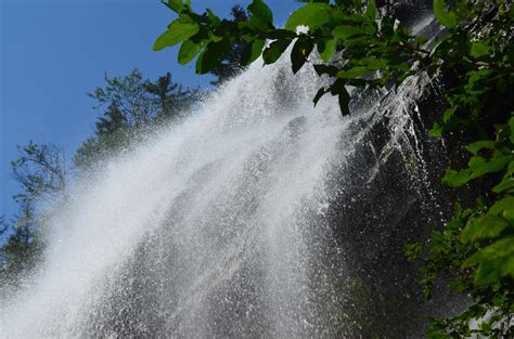 Free Images Tree Nature Forest Waterfall River