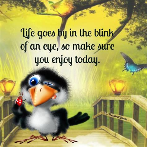 Life Goes By In A Blink Of An Eye Enjoy Today Pictures