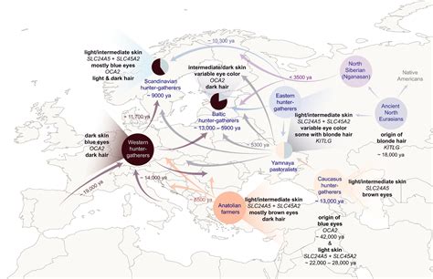 Archaeogenetic Map Of Human Skin Pigmentation And Other Physical Traits