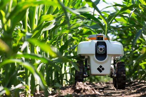Robots En La Agricultura Automatización Innovadora