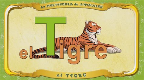 La Multipedia De Animales Letra T El Tigre Youtube