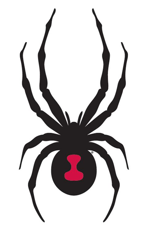 Spider Stencil Black Widow Spider Skiing Spyder