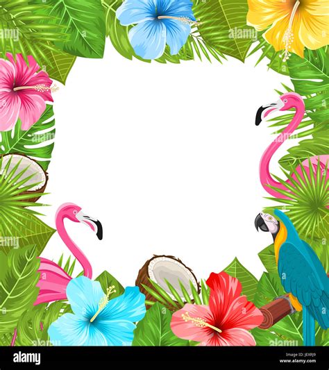 Illustration Tropical Frame Made In Beautiful Plants Flowers Exotic