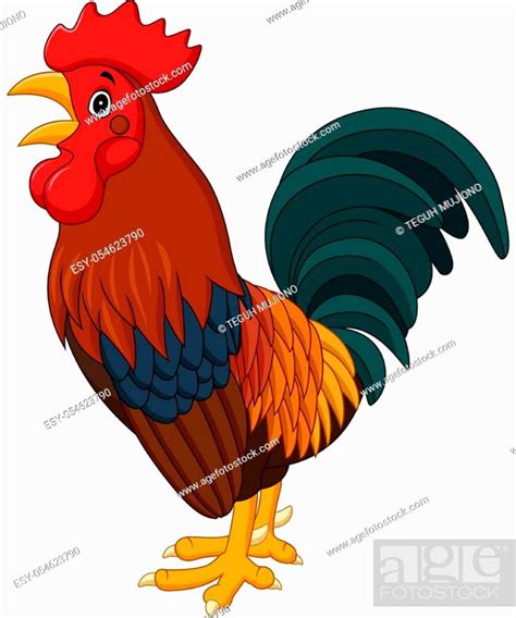 Cartoon Rooster Crowing Isolated On White Background Stock Vector