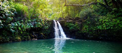$ • hawaiian, gluten free options, vegan options. Find your Bliss to Hana - Discover Hawaii Tours