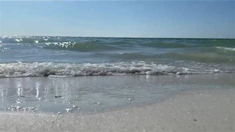 Respiratory Warnings Up For Sarasota Manatee And Pinellas Beaches Over