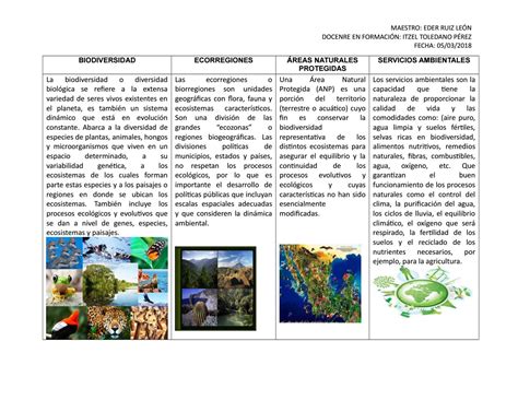 Evidencias De Aprendizaje Cuadro Comparativo De Ecosistemas Images