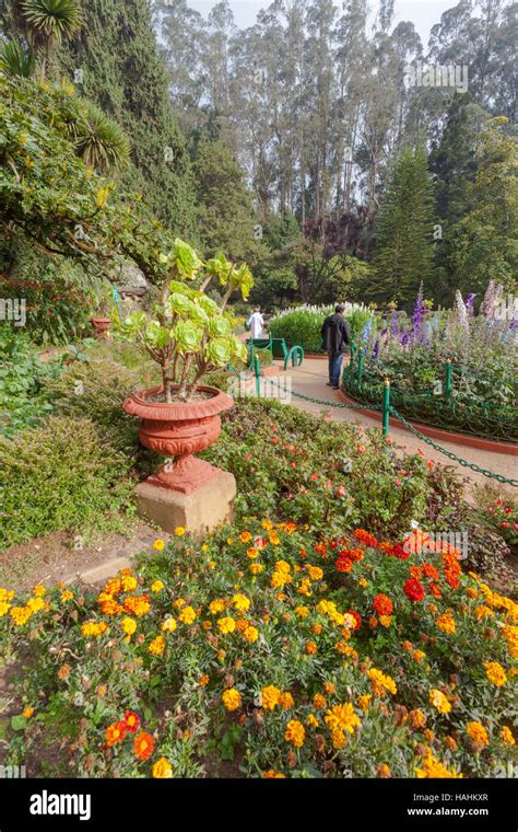 Botanical Garden Ooty Hi Res Stock Photography And Images Alamy
