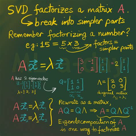 Linear Algebra Singular Value Decomposition Svd