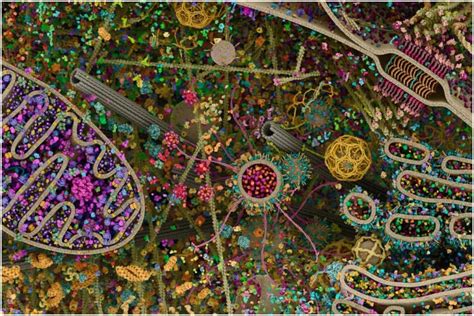 Although cells are diverse, all cells have certain parts in common. Is That the Cosmos or India on Diwali? NASA's Image of ...