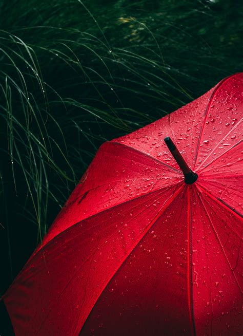Download Wallpaper 840x1160 Umbrella Red Rain Droplets Rain Iphone 4