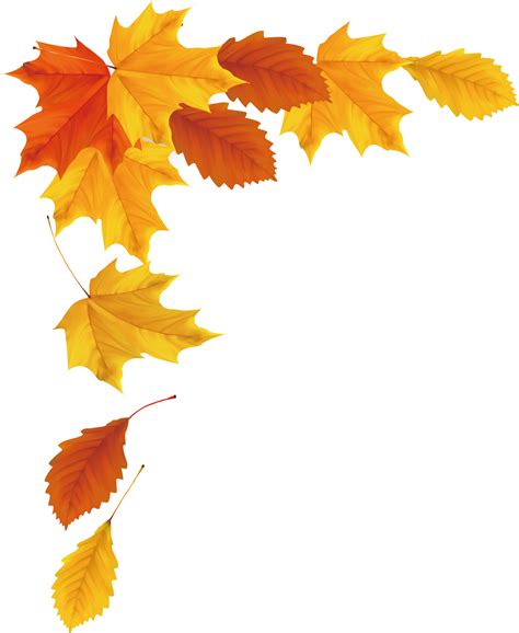 Vector Autumn Leaf Falling Png Hd Download Free Psd Templates Png