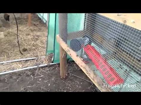 We hope you enjoy and satisfied like our. Diy Hay Rack Quails - No Waste Spill Chicken Quail Feeder ...