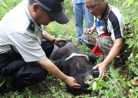 2008년에 '용인'이 교명에 추가되면서 로고에도 함께 추가되었다. 사육장서 반달가슴곰 2마리 탈출..경찰 수색 : 부산의 대표 ...