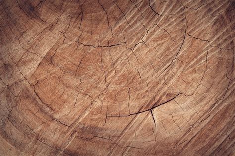 Free Images Tree Nature Abstract Board Antique Grain Texture