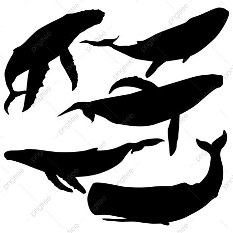Whales Vector Art Png Set Of Whale Silhouette Whale Silhouette Whale