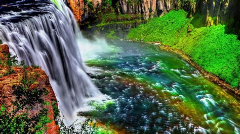 Image Waterfalls Trees Natural Animals Calm Fishes