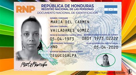 Rnp Entrega Cuatro Millones De Nuevas Identidades A Hondureños