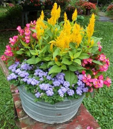 Amazing Summer Planter Ideas To Beautify Your Home 20 Container